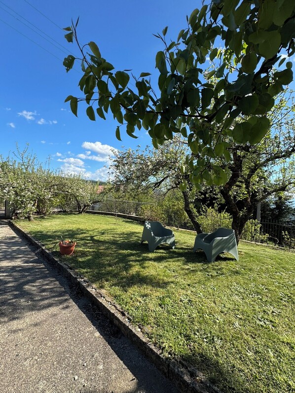 Un espace herbeux avec deux chaises modernes, un chemin et un arbre aux feuilles vertes.