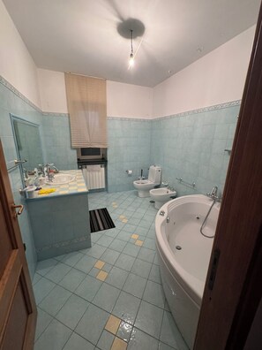 Douche, baignoire à jets, sèche-cheveux, bidet