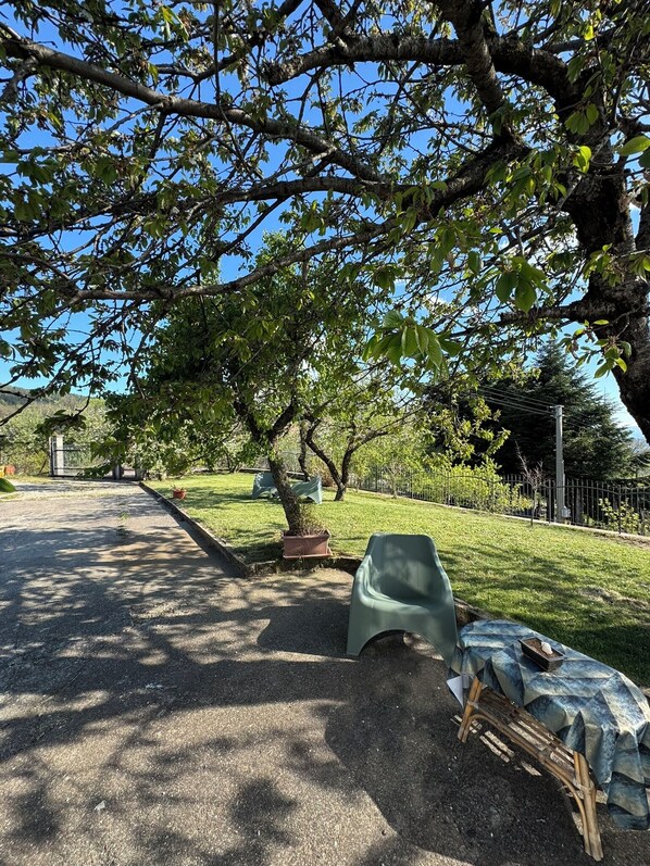 Property grounds