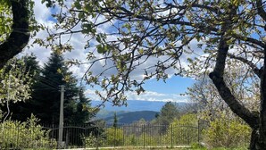 A fenced grassy area with trees and a mountain view in the background. - Detached cottage among the pines of Sila (CS) (Rose)