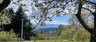 Detached cottage among the pines of Sila (CS)