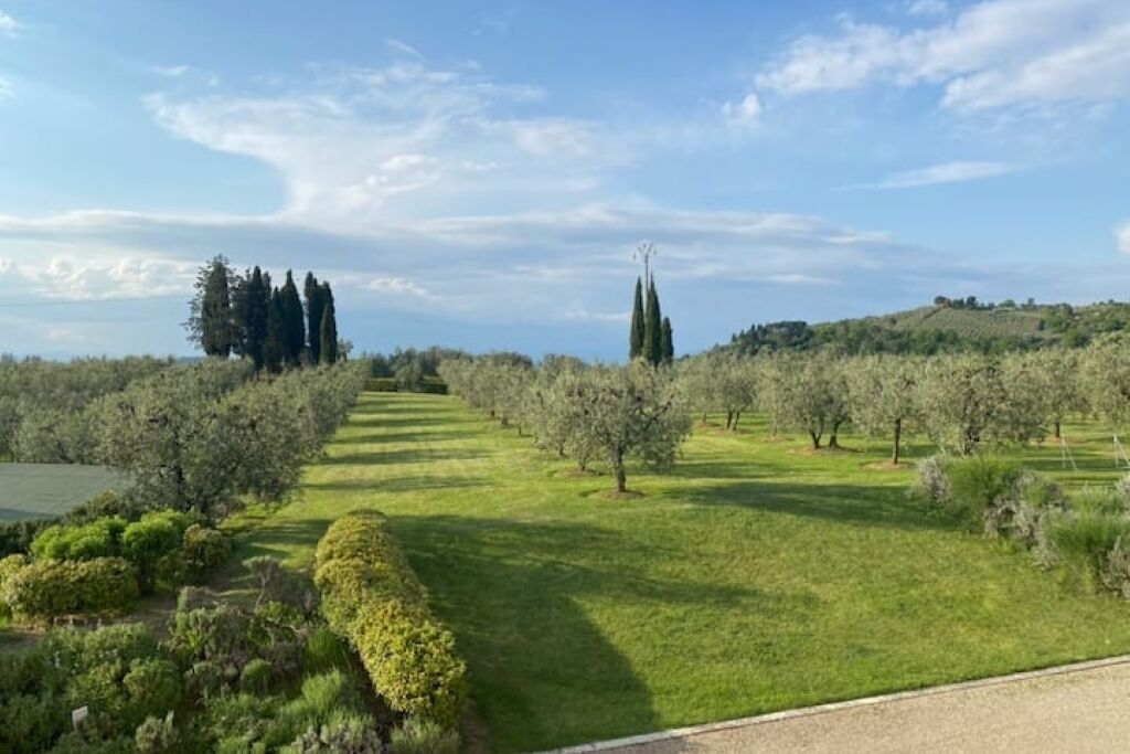 A landscaped garden with neatly trimmed hedges, a variety of trees, and a clear sky.