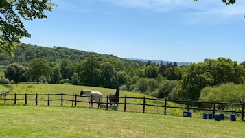 Cottage | View from property