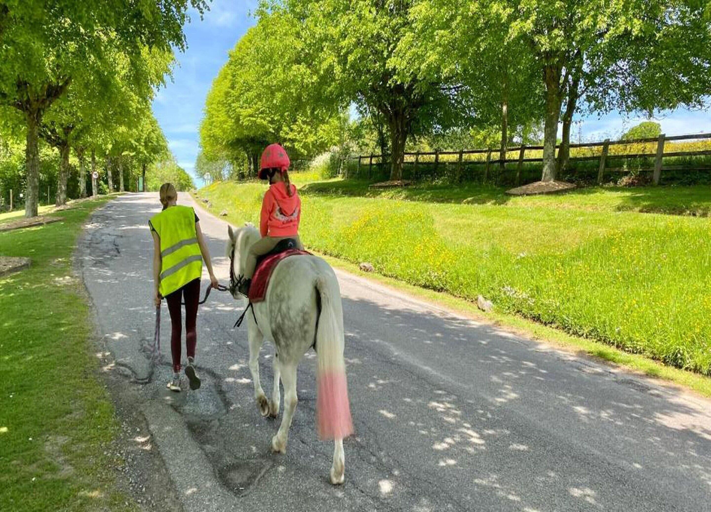 الإطلالة من المنشأة