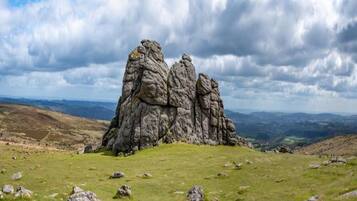 الإطلالة من المنشأة