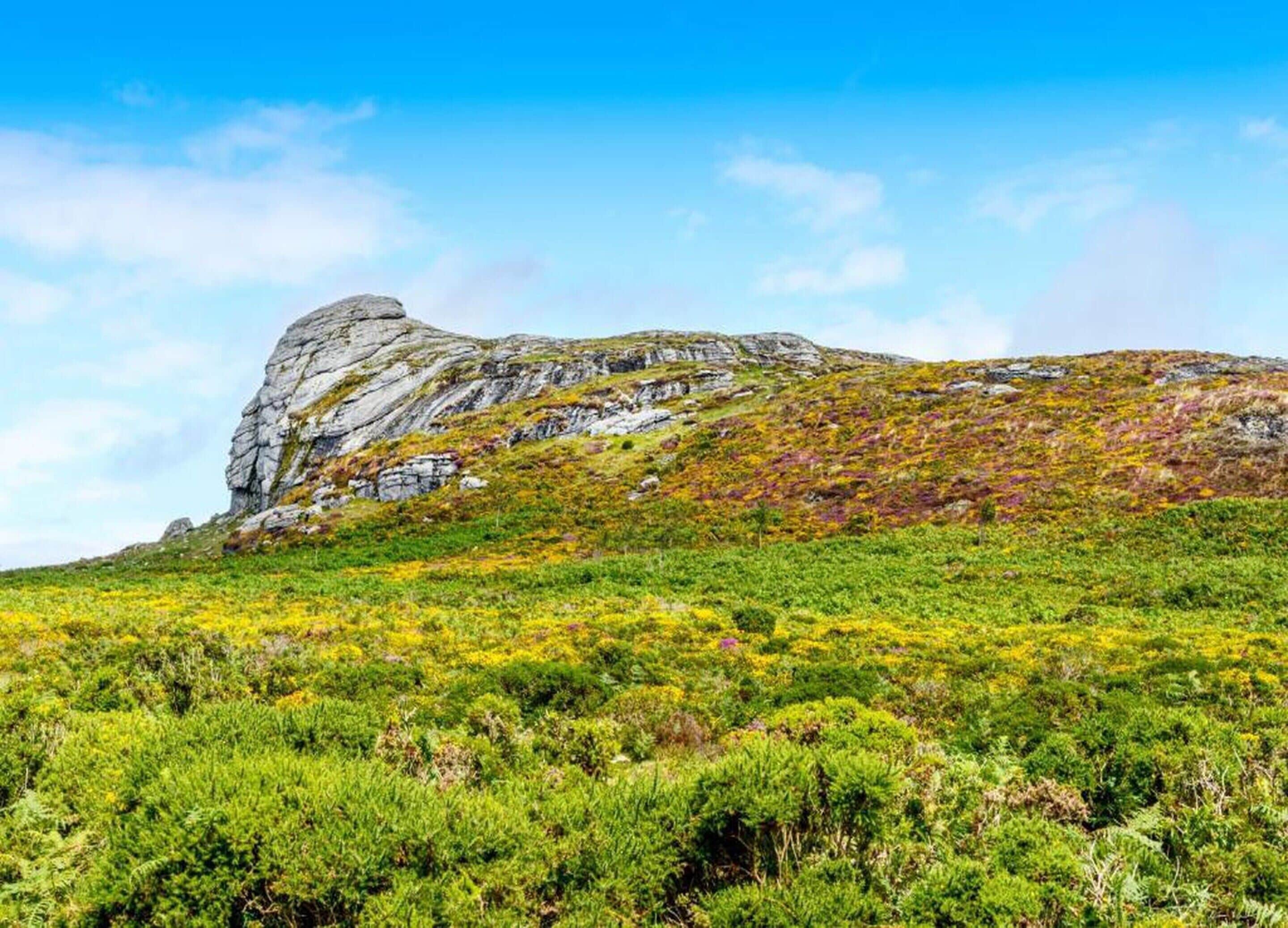 الإطلالة من المنشأة