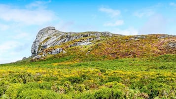 كوخ | الإطلالة من المنشأة