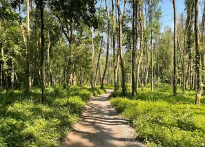 コテージ | 施設からの眺望