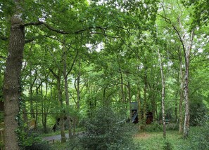 Cottage | View from property - Cottage in Devon Near Dartmoor National Park (Newton Abbot)