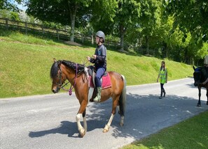 コテージ | 施設からの眺望