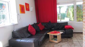 Een televisie, een open haard, een dvd-speler en boeken