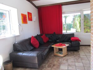 Televisión, chimenea, libros