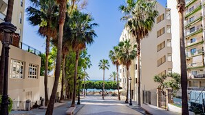 Un sendero pavimentado bordeado de palmeras y edificios, que conduce a una zona de piscina.
