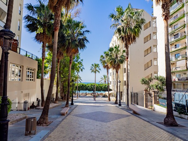 A paved walkway lined with palm trees and buildings, leading to a pool area.