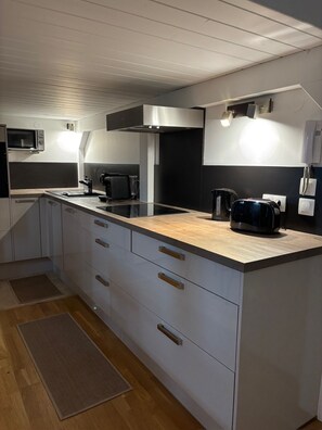 Fridge, microwave, oven, stovetop - Boulevard belges parc Tête d'or, Lyon 6, studio with mezzanine bedroom (Lyon)