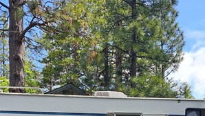 A recreational vehicle parked in a parking lot with two white plastic chairs in front. - Cute RV in the  forested mountains at Cedar Ridge,  Sonora for your vacation. (Sonora)