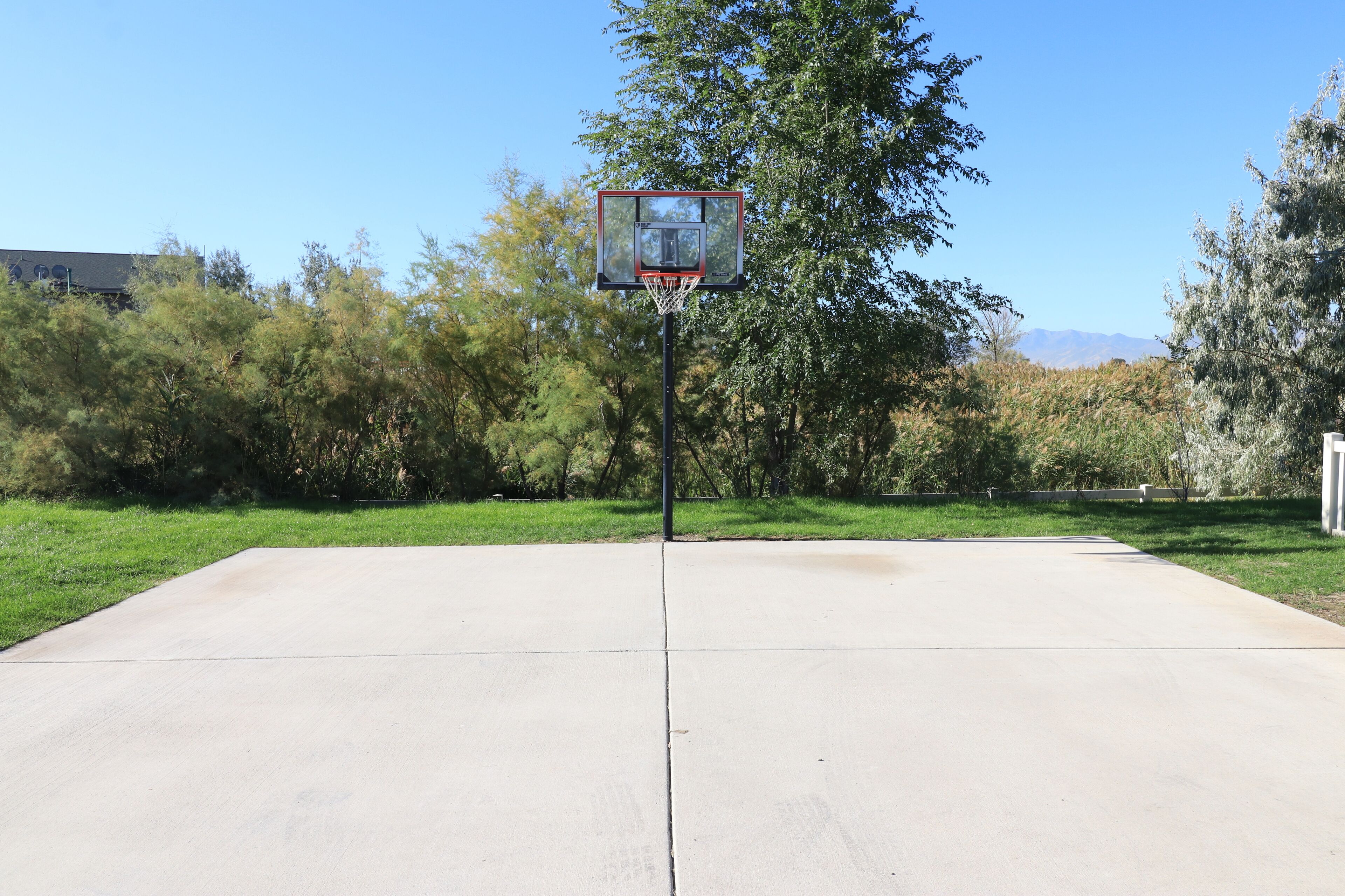 A basketball court with a hoop, surrounded by trees and a clear sky.