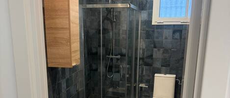 A modern bathroom with a glass-enclosed shower, a white sink, and a toilet.