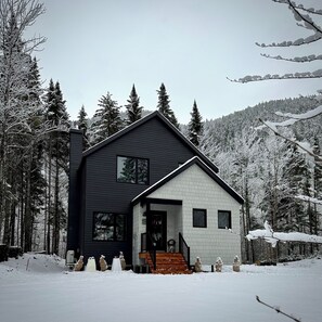 A modern two-story house with a dark exterior and white lower section, surrounded by snow-covered trees and a forested hillside.