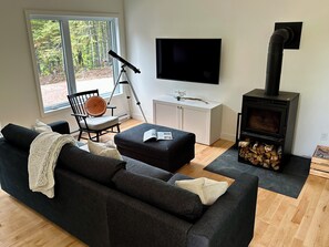 Smart TV, chimenea, libros