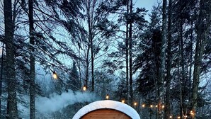 Een houten hut met een sneeuwbedekte dak, omringd door een bos.