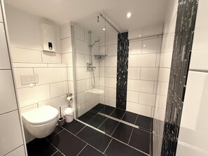 Shower, hair dryer, soap, toilet paper