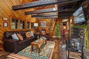 TV connectée, cheminée, jeux vidéo, lecteur de DVD