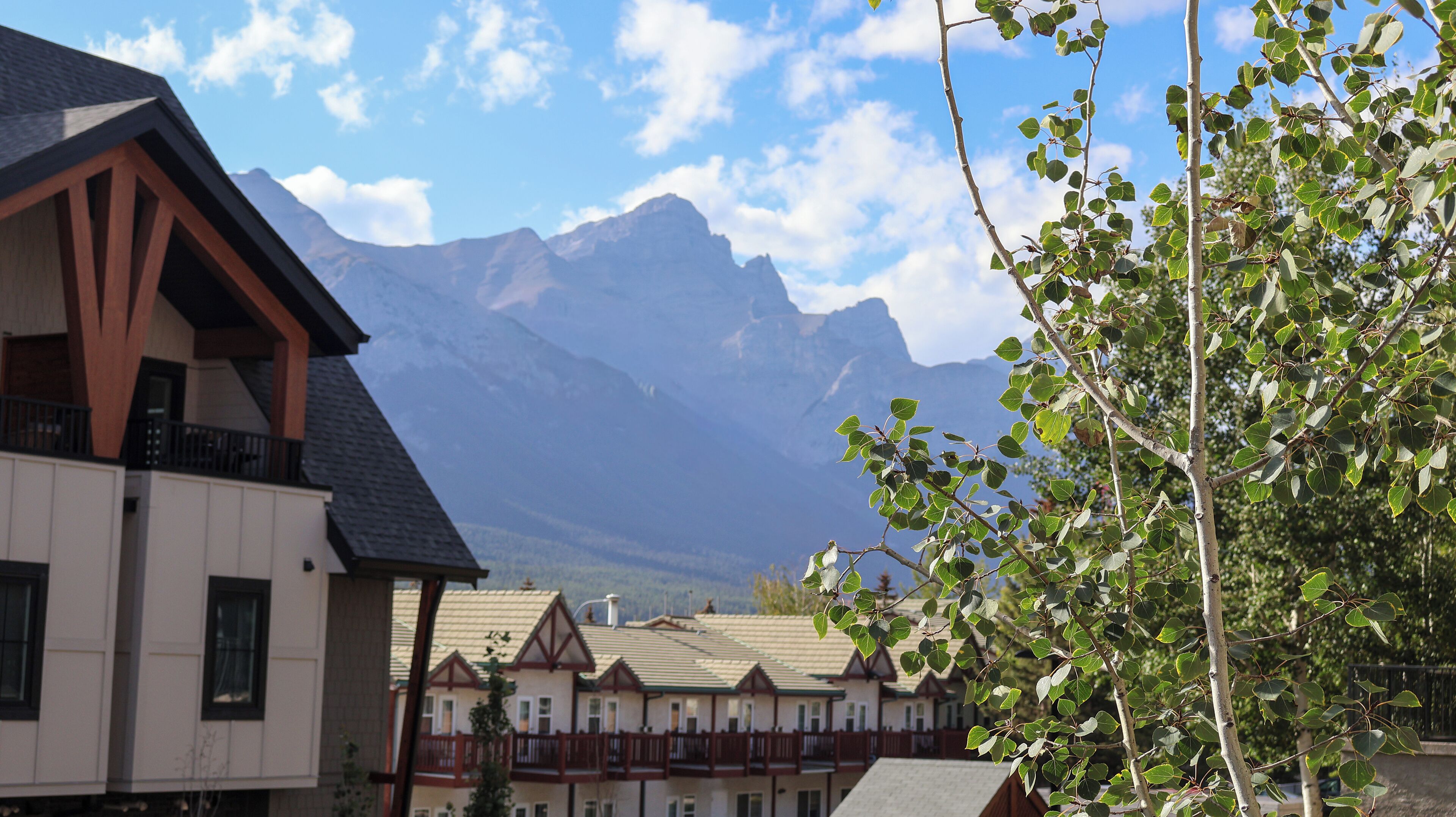 Bergblick mit einem Chalet und einem Baum im Vordergrund.