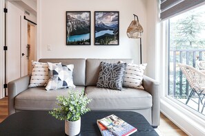 Smart TV, fireplace, books