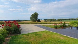 Een verhard pad dat door een aangelegd gebied met rode bloemen en groen gras loopt.