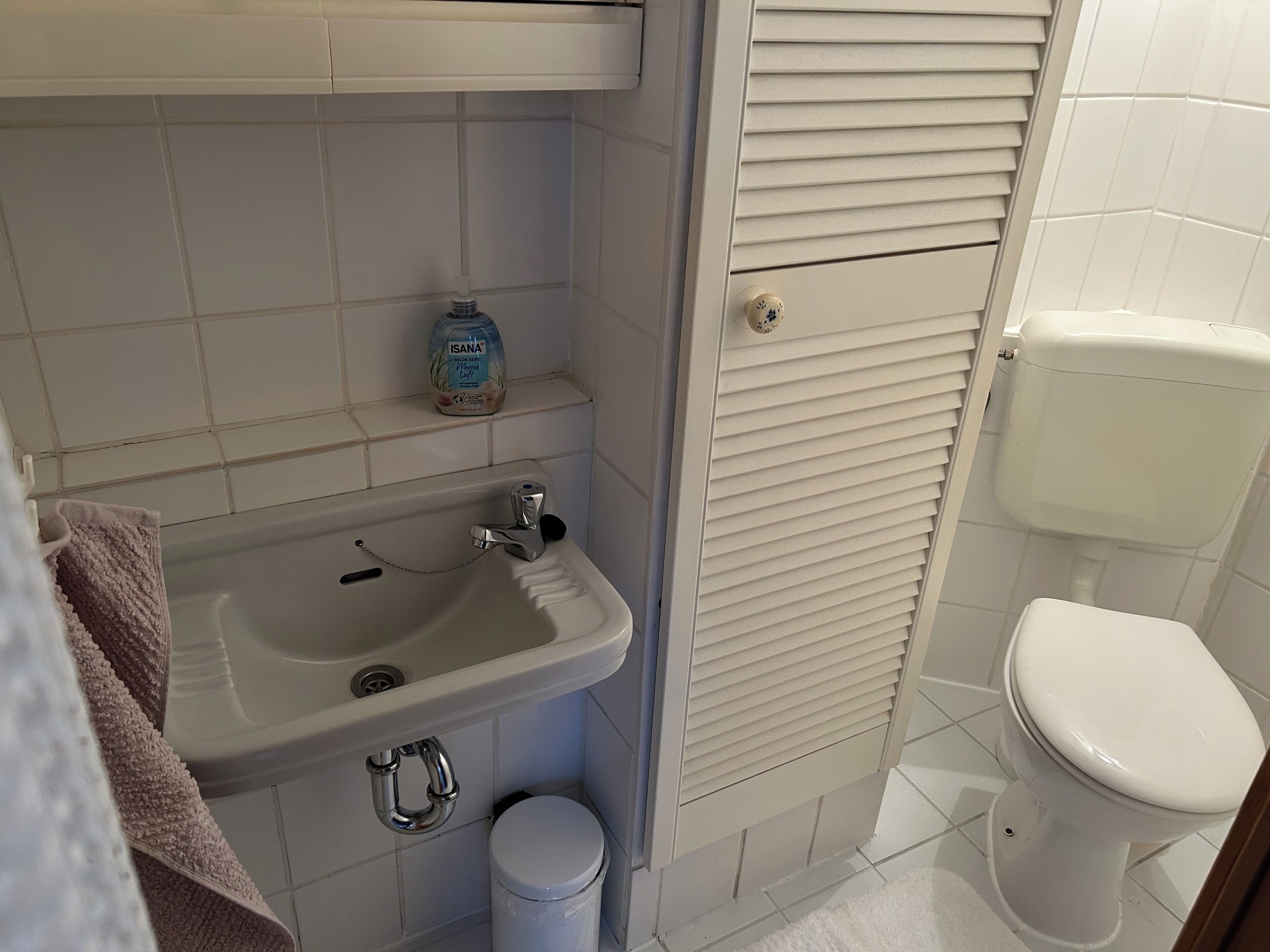 Une salle de bain équipée d’un lavabo, de toilettes et d’une étagère de rangement.