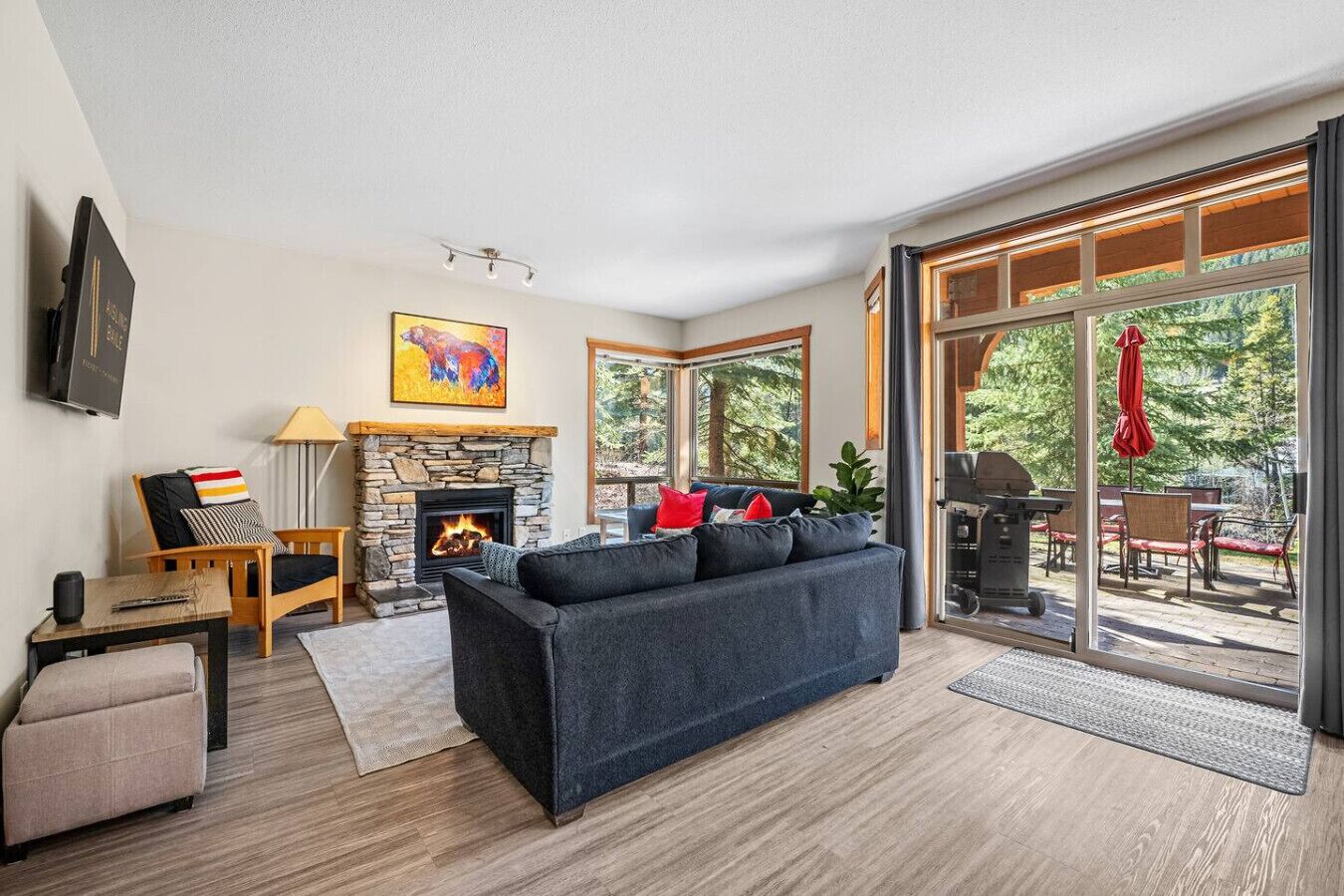 Télévision, cheminée