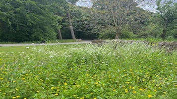 Chalet | Vue depuis lâhĂ©bergement
