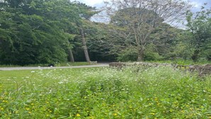 Chalet | View from property - Mobility-friendly Cabin in Hexham (Hexham)