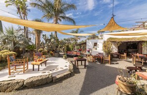 An outdoor seating area with tables and chairs, surrounded by cacti and palm trees. - Ravino Ecolodge (Forio)