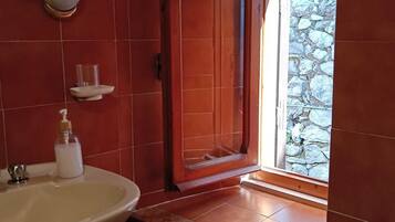 Hair dryer, bidet, towels, soap
