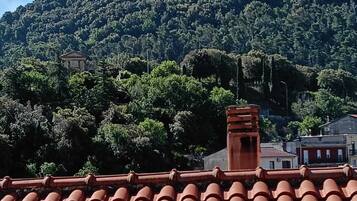 Un toit recouvert de tuiles en terre cuite, une montagne couverte d’une végétation luxuriante et un petit bâtiment de style architectural classique.