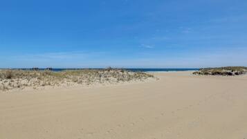 Una playa cerca