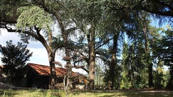 Instalaciones deportivas