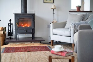 House | Living room | Fireplace