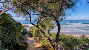 A coastal path leading to the beach with a clear view of the ocean.