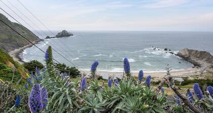 Stunning Ocean Mountain View Near SF/SFO/Beaches