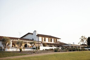 Esterni