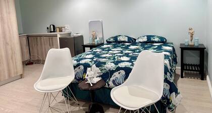 One Bedroom Bachelor A