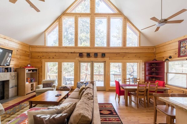 TV, fireplace, table football, books