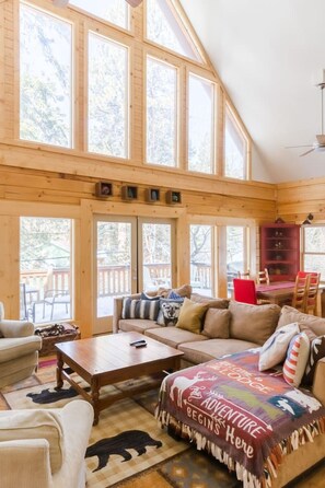 TV, fireplace, foosball, books