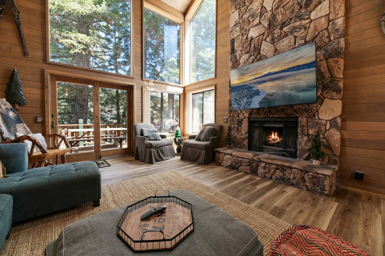 TV, fireplace, foosball, books