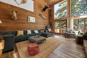 TV, fireplace, table football, books