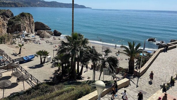 Una playa con palmeras, cielo azul despejado y mar tranquilo.