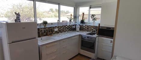 Frigorífico, microondas, horno y placa de cocina